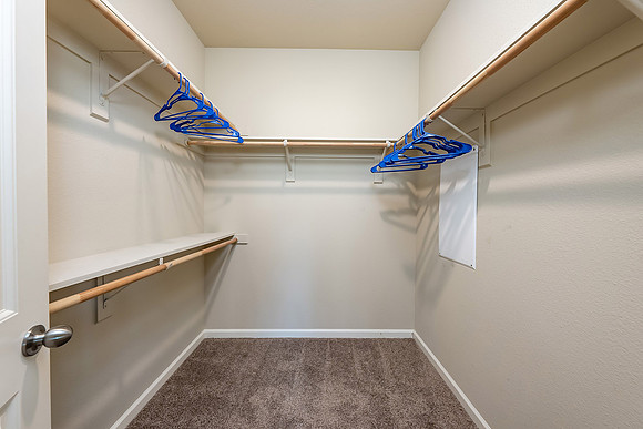 Master closet