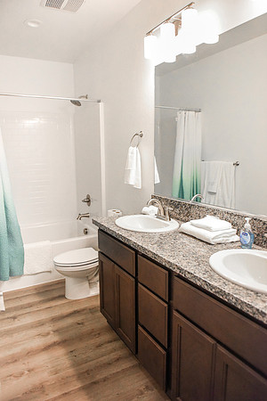 guest bathroom.