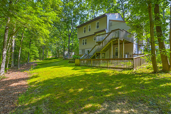 View of the backyard