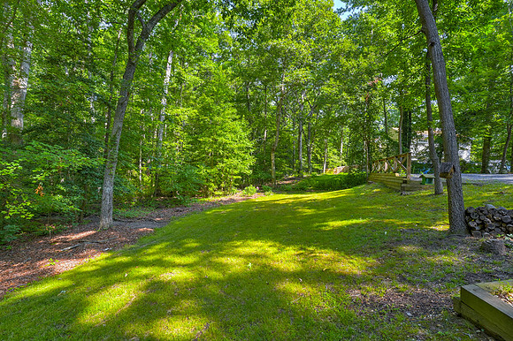 Beautiful backyard.  Plenty of space to run around.