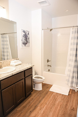 guest bath