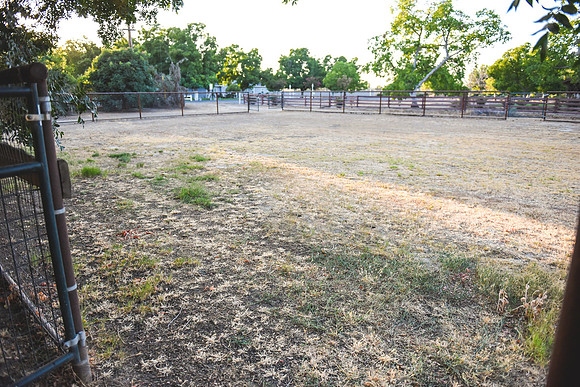 backyard/extra parking