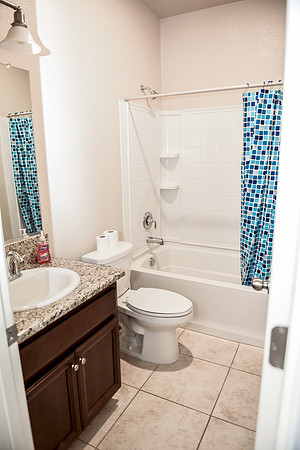 guest bathroom , in law suite